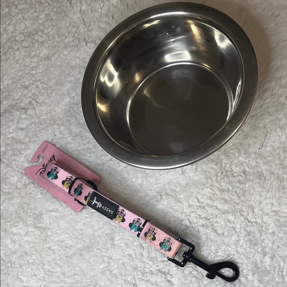 Disney Pink Princess Pet Leash and Silver Bowl